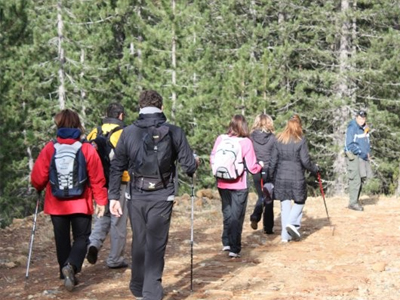 Περπάτημα για καλύτερη μνήμη Περπάτημα για καλύτερη μνήμη