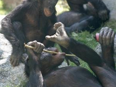 Η κοινωνική θέση επηρεάζει το… ανοσοποιητικό σύστημα