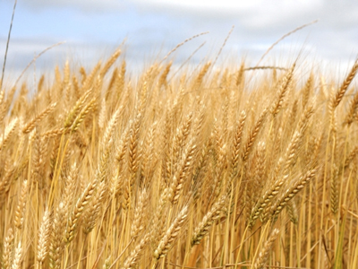 Απροσδόκητη αύξηση στις τιμές των τροφίμων τον Ιούνιο