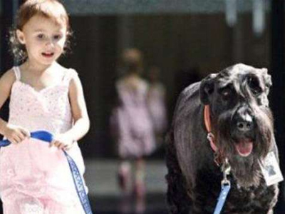 Σκύλος βοηθάει παιδιά να περπατήσουν