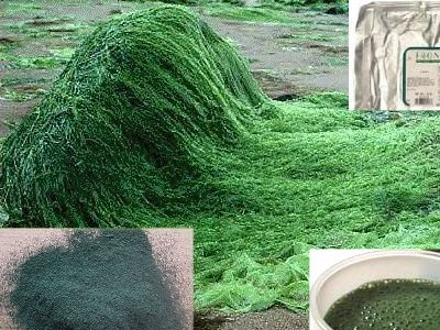 Η θαυματουργή σπιρουλίνα!