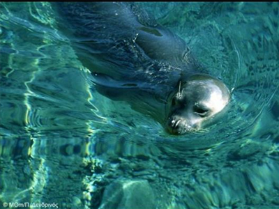 Σχέδιο για θαλάσσιο πάρκο στην Κάρπαθο
