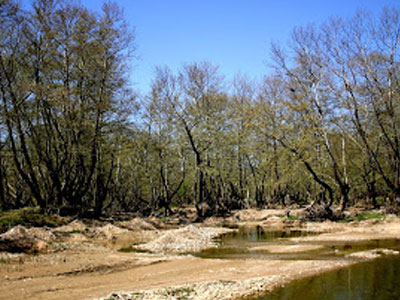 Προφυλακιστέοι για ρύπανση του περιβάλλοντος