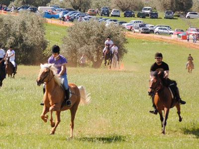 Τα έθιμα του Αγίου Γεωργίου στην Ελλάδα