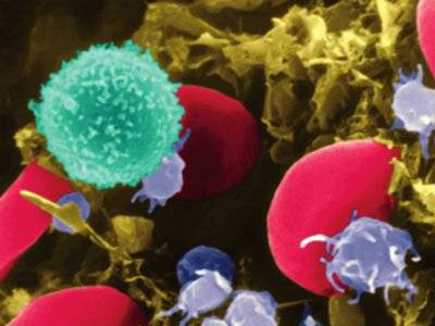 Η επανάσταση των βλαστικών κυττάρων