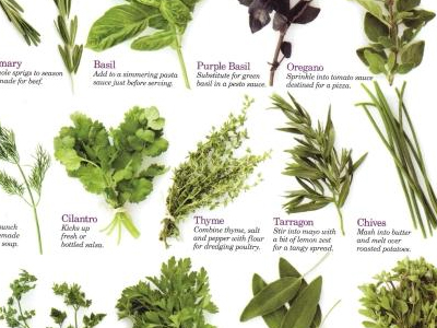 Σεμινάριο για βότανα