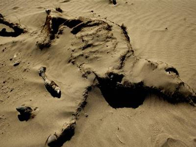 Ξηρασία πλήττει τη Βραζιλία