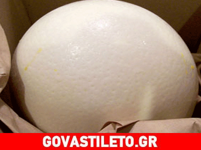 Οι 4 αποτελεσματικότερες μάσκες μαλλιών με αυγό στρουθοκάμηλου!