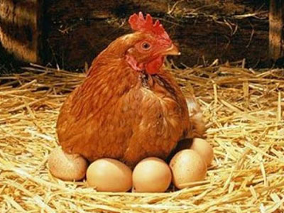 Αλλού τα κακαρίσματα…