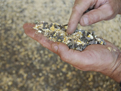 Απειλή για την υγεία τα αντιβιοτικά στις ζωοτροφές