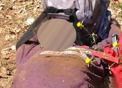 Το πτώμα του Κόλα