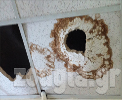 Φωτό-ντοκουμέντο από τις εγκαταστάσεις