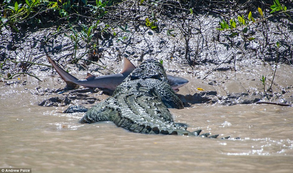 Ο Νόμος της Φύσης