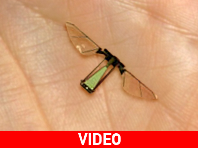 Αποκαλυπτήρια για το «robo-fly» Αποκαλυπτήρια για το «robo-fly»