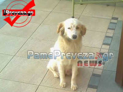 Ο «Χάτσικο» της Πρέβεζας