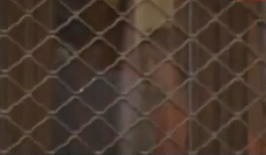 Ο Τεκτερίδης και η διευθύντρια της τράπεζας