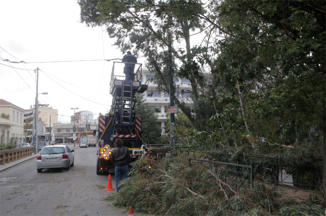 Εκατοντάδες κλήσεις για κοπή δέντρων δέχτηκε η Πυροσβεστική