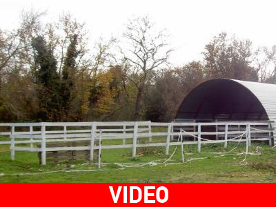 Χαράτσι και στους στάβλους!