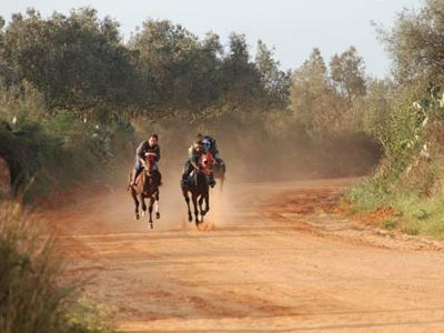 Ετοιμασίες για τους ιππικούς αγώνες του Αγίου Γεωργίου