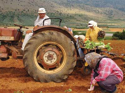 Χρήσιμες συμβουλές για αγρότες