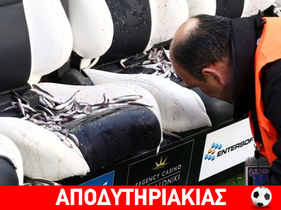 Όλη η αλήθεια για τα ψάρια στην Τούμπα