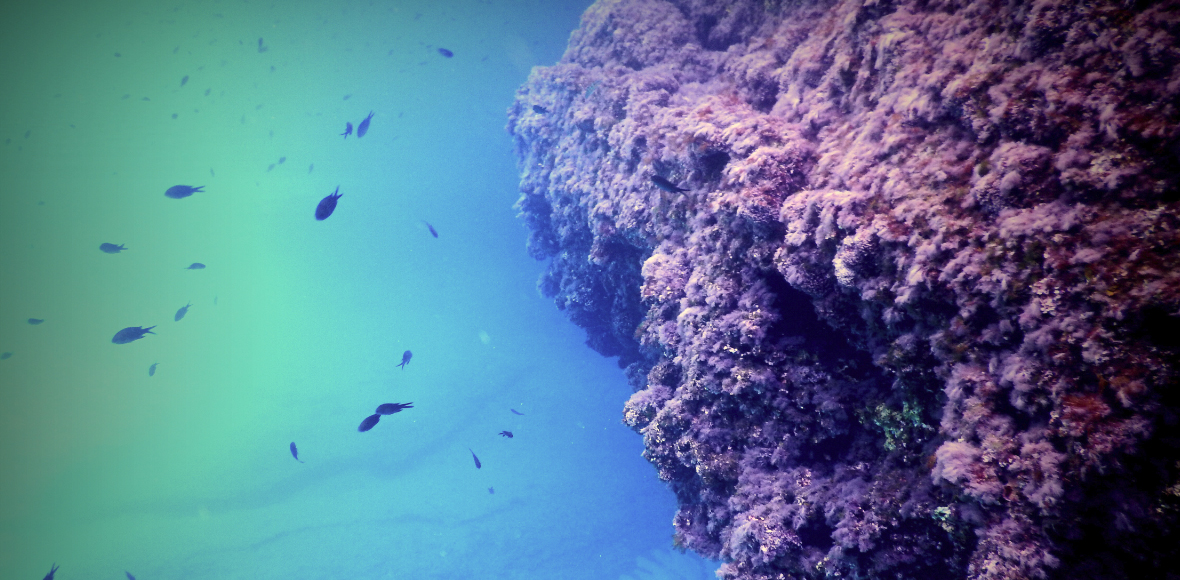 Ο μαγικός βυθός της Μήλου