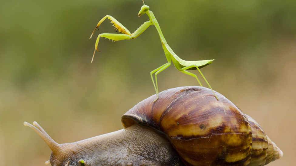 Παιχνίδια στη Φύση