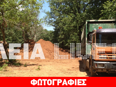 Hλεία: οικολογικό έγκλημα σε δρυοδάσος