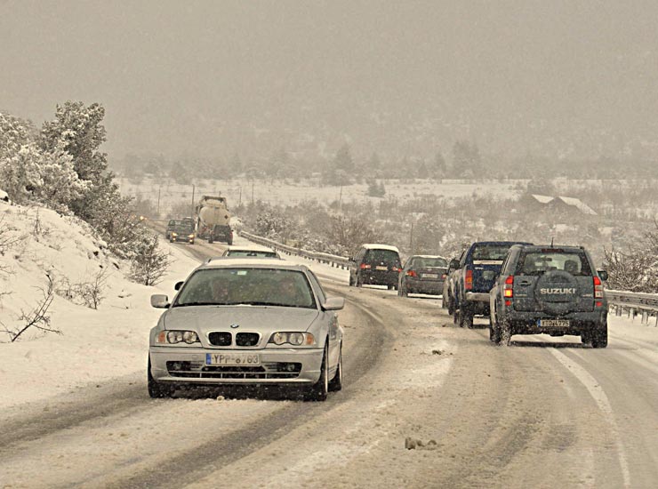 Φωτό: Αρτεμίσιο