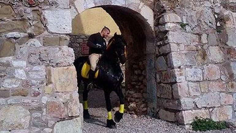 Ένα πανέμορφο άλογο Friesian στο λιμάνι της Ναυπάκτου