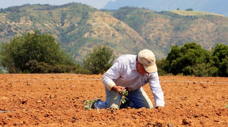 ΕΕ: Την πρώτη εβδομάδα του Αυγούστου οι ρυθμίσεις για συνταξιοδοτήσεις και αγρότες