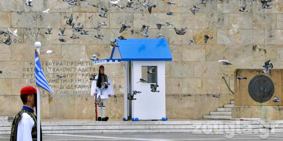 Tα πουλιά του Συντάγματος