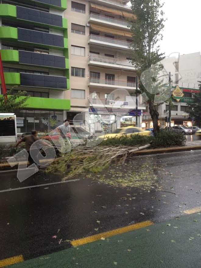 Προβλήματα στη Λ. Αλεξάνδρας λόγω πτώσης δέντρου