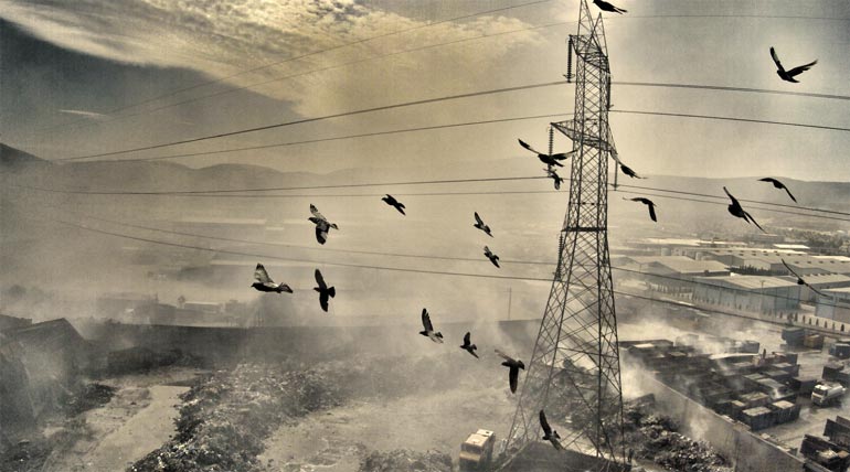 EUROKINISSI/ΑΝΤΩΝΗΣ ΝΙΚΟΛΟΠΟΥΛΟΣ