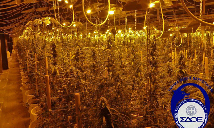 Κατά τη διάρκεια της επιχείρησης συνέδραμαν το Τ.Δ.Ν. του Σ.Δ.Ο.Ε. Π.Δ. Αττικής-Αιγαίου κλιμάκιο της Υ.Δ.Ν. της Δ.Α.Α. και ομάδες του Τ.Δ.Ν. της Δ.Δ.Ν. και Λαθρεμπορίου του Α.Λ.Σ./ΕΛΑΚΤ.