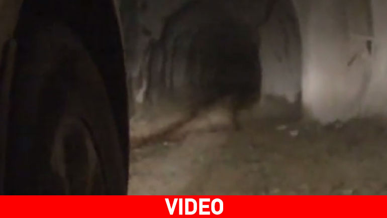 Οδοιπορικό στις στοές της Ολυμπιάδας