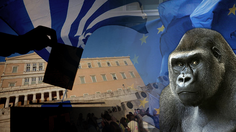 Ψηφίστε στη νέα κυλιόμενη ψηφοφορία της «Ζούγκλας»