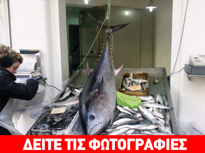 Πολύ καλή ψαριά…