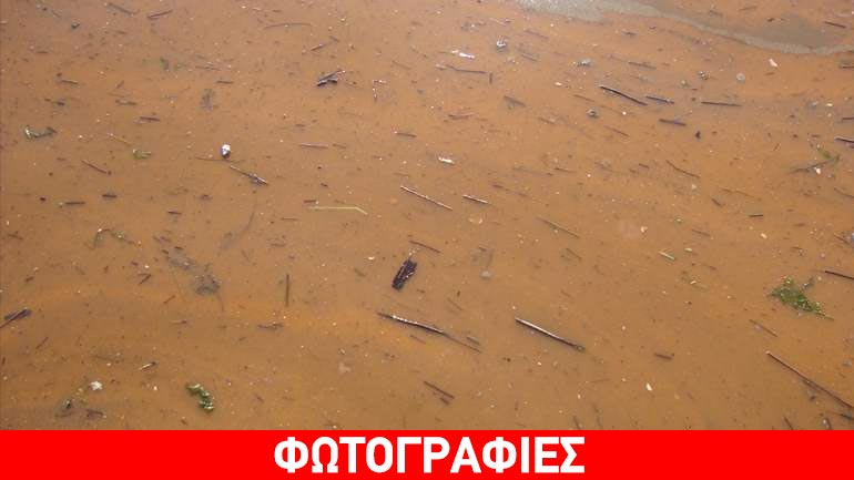 Κόκκινος «βάφτηκε» ο Θερμαϊκός