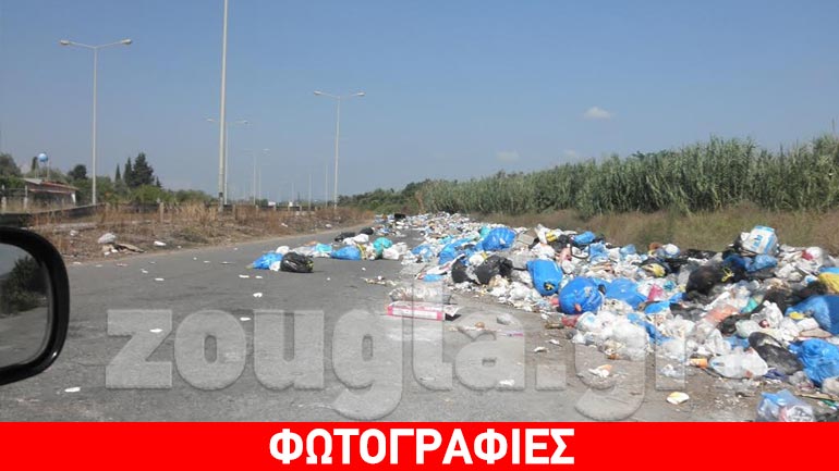 Oργή και αγανάκτηση για τα σκουπίδια στον Πύργο…
