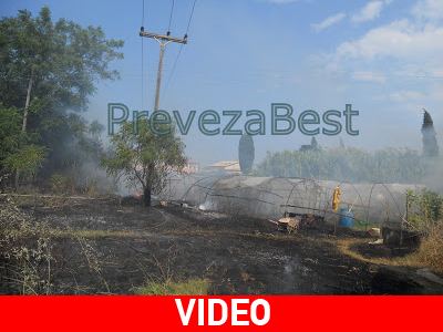 Στάχτη έγιναν οι κόποι τους