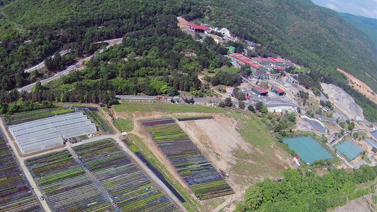 Δημοσκόπηση για τα μεταλλεία στις Σκουριές Δημοσκόπηση για τα μεταλλεία στις Σκουριές