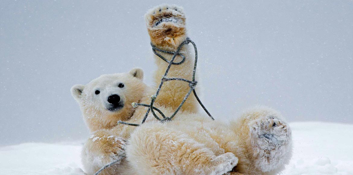 Παιχνίδια στη Φύση