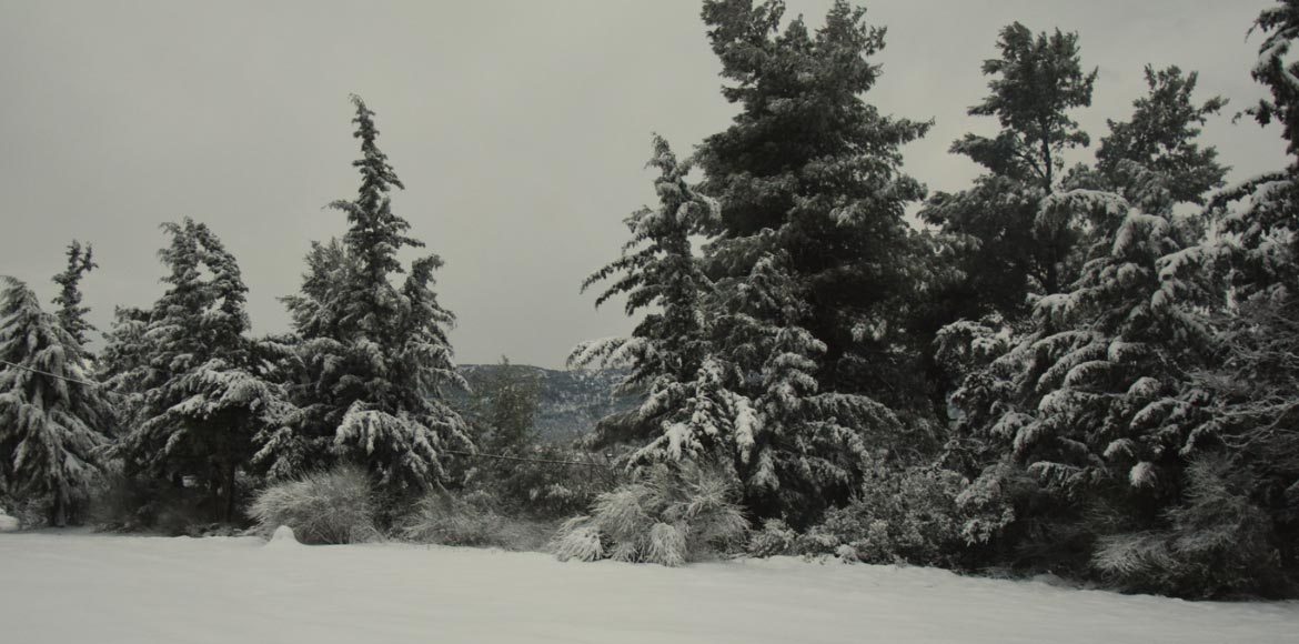 Στα λευκά η Αττική