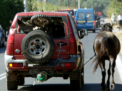 Mία εικόνα, χίλιες λέξεις