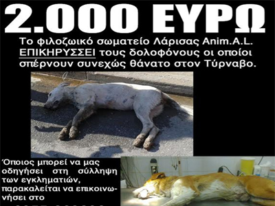 Οργή για τις φόλες στον δήμο Τυρνάβου