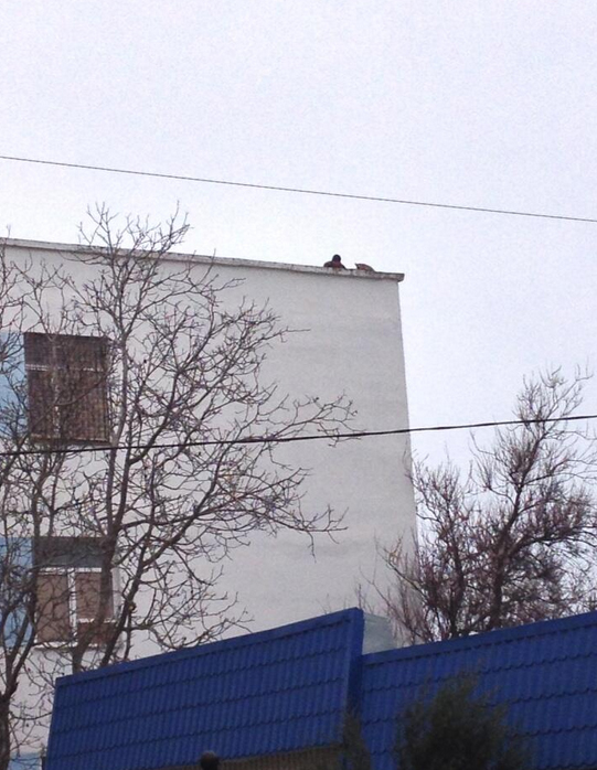 Φωτό BBC: Will Vernon