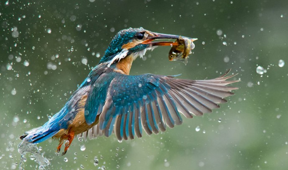 Oι καλύτερες φωτογραφίες του Νational Geographic