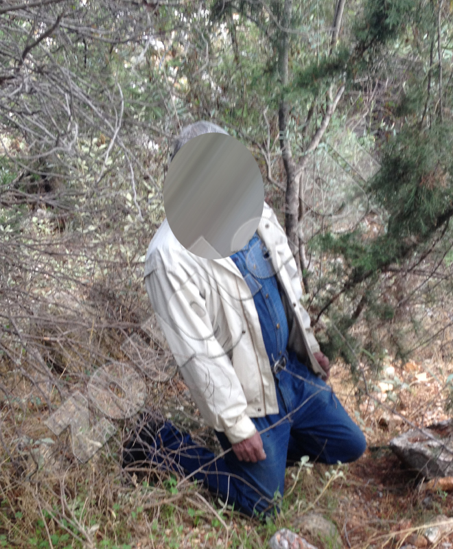 Aπαγχονίστηκε σε δέντρο