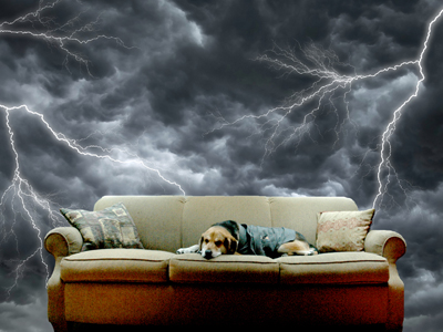 Ο σκύλος μου φοβάται τις καταιγίδες